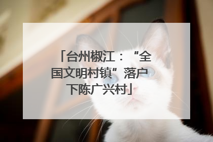 台州椒江：“全国文明村镇”落户下陈广兴村