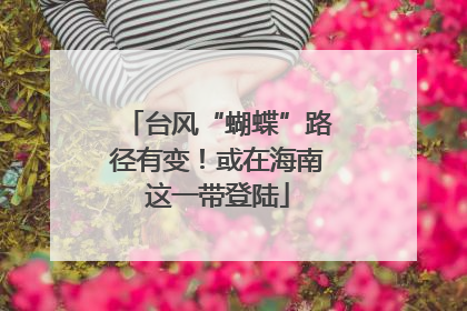 台风“蝴蝶”路径有变！或在海南这一带登陆