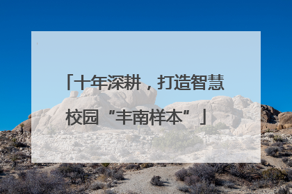 十年深耕，打造智慧校园“丰南样本”