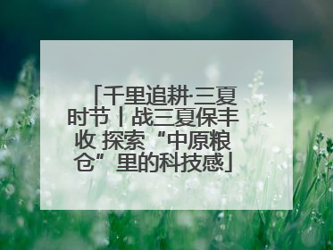 千里追耕·三夏时节丨战三夏保丰收 探索“中原粮仓”里的科技感