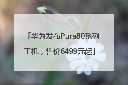华为发布Pura80系列手机，售价6499元起