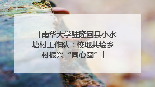 南华大学驻隆回县小水塘村工作队：校地共绘乡村振兴“同心圆”