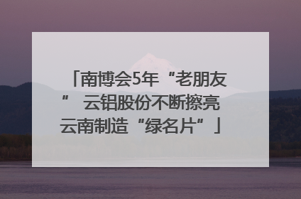 南博会5年“老朋友” 云铝股份不断擦亮云南制造“绿名片”