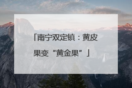 南宁双定镇：黄皮果变“黄金果”