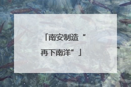 南安制造“再下南洋”