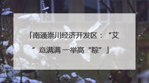 南通崇川经济开发区：“艾”意满满 一举高“粽”
