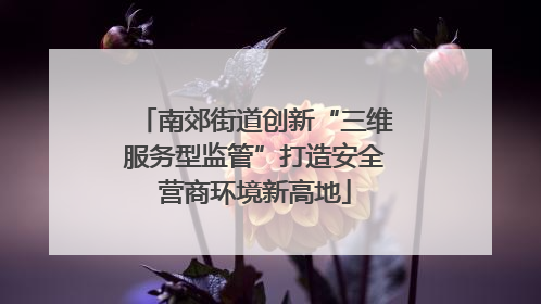 南郊街道创新“三维服务型监管”打造安全营商环境新高地