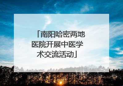 南阳哈密两地医院开展中医学术交流活动