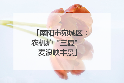 南阳市宛城区：农机护“三夏” 麦浪映丰景