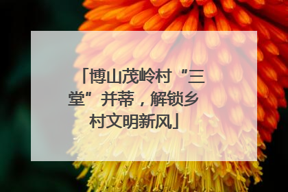 博山茂岭村“三堂”并蒂，解锁乡村文明新风