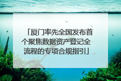 厦门率先全国发布首个聚焦数据资产登记全流程的专项合规指引