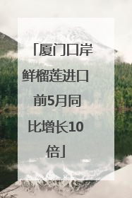 厦门口岸鲜榴莲进口 前5月同比增长10倍