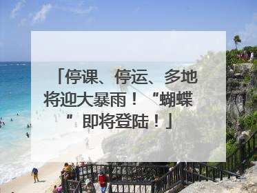 停课、停运、多地将迎大暴雨！“蝴蝶”即将登陆！