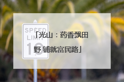 光山：药香飘田野 铺就富民路