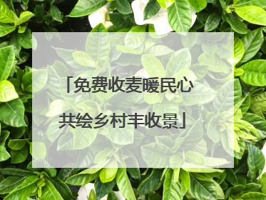 免费收麦暖民心 共绘乡村丰收景