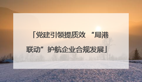 党建引领提质效 “局港联动”护航企业合规发展