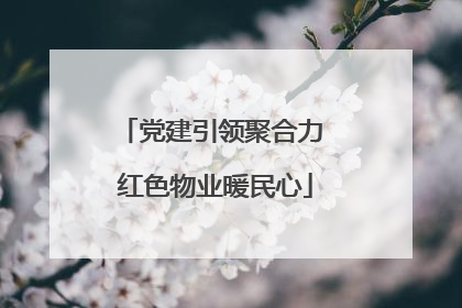 党建引领聚合力 红色物业暖民心