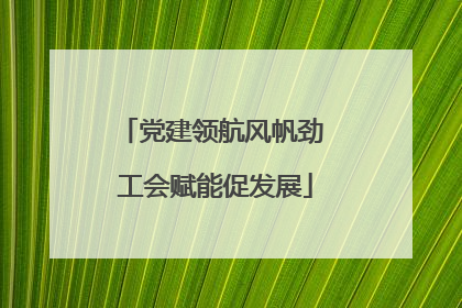 党建领航风帆劲 工会赋能促发展