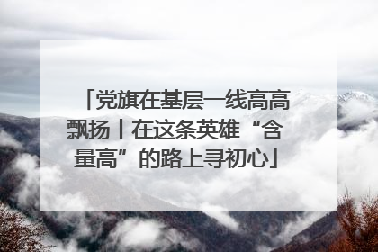 党旗在基层一线高高飘扬丨在这条英雄“含量高”的路上寻初心