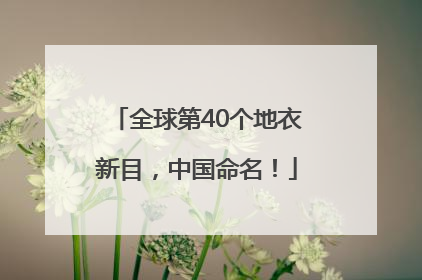 全球第40个地衣新目，中国命名！