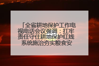 全省耕地保护工作电视电话会议强调：扛牢责任守住耕地保护红线 系统施治夯实粮食安全根基 王宁作出批示 王予波出席并讲话