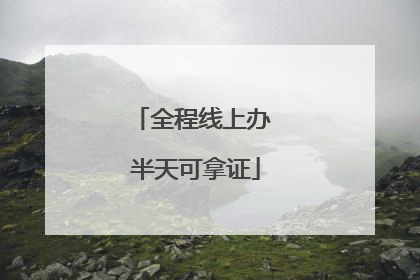 全程线上办 半天可拿证