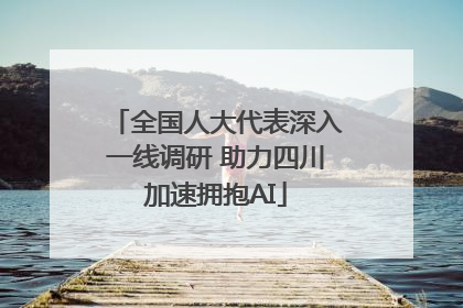 全国人大代表深入一线调研 助力四川加速拥抱AI