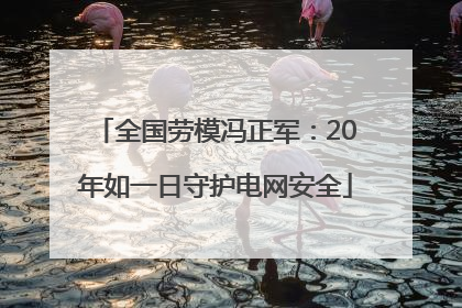 全国劳模冯正军：20年如一日守护电网安全