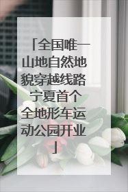 全国唯一山地自然地貌穿越线路 宁夏首个全地形车运动公园开业