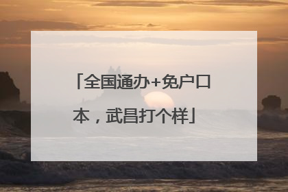 全国通办+免户口本，武昌打个样