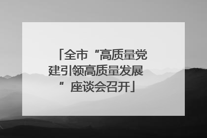 全市“高质量党建引领高质量发展”座谈会召开