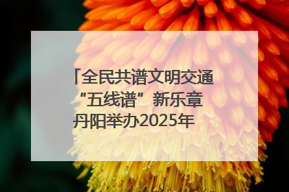 全民共谱文明交通“五线谱”新乐章 丹阳举办2025年“文明交通 同心同行”主题宣传活动
