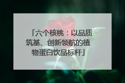 六个核桃：以品质筑基、创新领航的植物蛋白饮品标杆