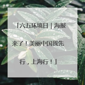 六五环境日｜海报来了！美丽中国我先行，上海行！