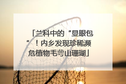 兰科中的“显眼包”！内乡发现珍稀濒危植物毛萼山珊瑚