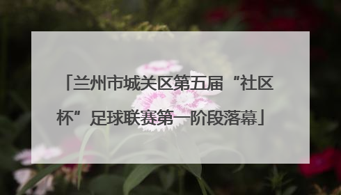 兰州市城关区第五届“社区杯”足球联赛第一阶段落幕
