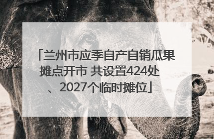 兰州市应季自产自销瓜果摊点开市 共设置424处、2027个临时摊位