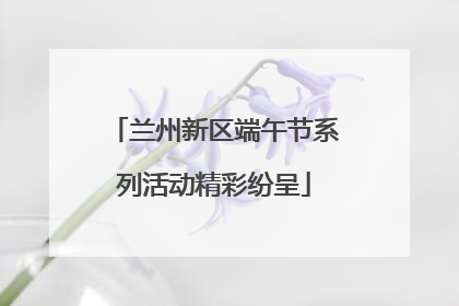 兰州新区端午节系列活动精彩纷呈