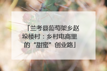 兰考县葡萄架乡赵垛楼村：乡村电商里的“甜蜜”创业路
