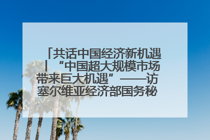 共话中国经济新机遇丨“中国超大规模市场带来巨大机遇”——访塞尔维亚经济部国务秘书尼科利奇
