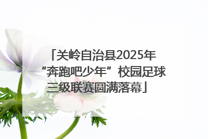 关岭自治县2025年“奔跑吧少年”校园足球三级联赛圆满落幕