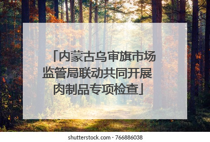 内蒙古乌审旗市场监管局联动共同开展肉制品专项检查