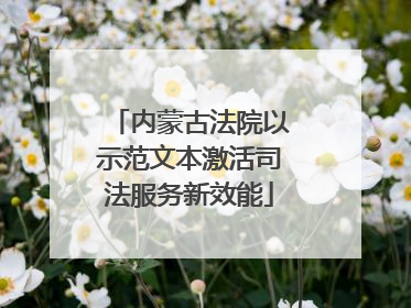 内蒙古法院以示范文本激活司法服务新效能