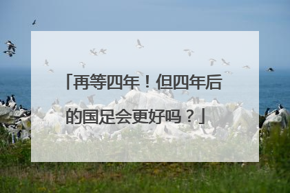再等四年！但四年后的国足会更好吗？