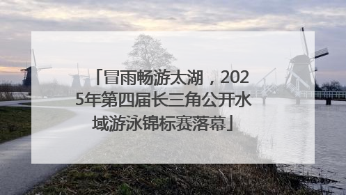冒雨畅游太湖，2025年第四届长三角公开水域游泳锦标赛落幕
