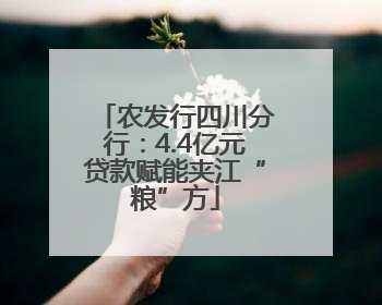 农发行四川分行：4.4亿元贷款赋能夹江“粮”方