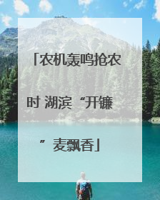 农机轰鸣抢农时 湖滨“开镰”麦飘香