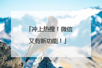 冲上热搜！微信又有新功能！
