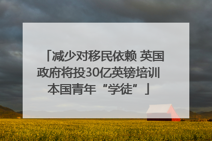 减少对移民依赖 英国政府将投30亿英镑培训本国青年“学徒”