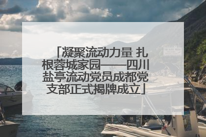 凝聚流动力量 扎根蓉城家园——四川盐亭流动党员成都党支部正式揭牌成立